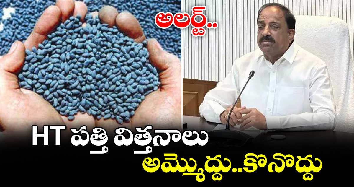 అలర్ట్.. HT పత్తి విత్తనాలు అమ్మొద్దు..కొనొద్దు