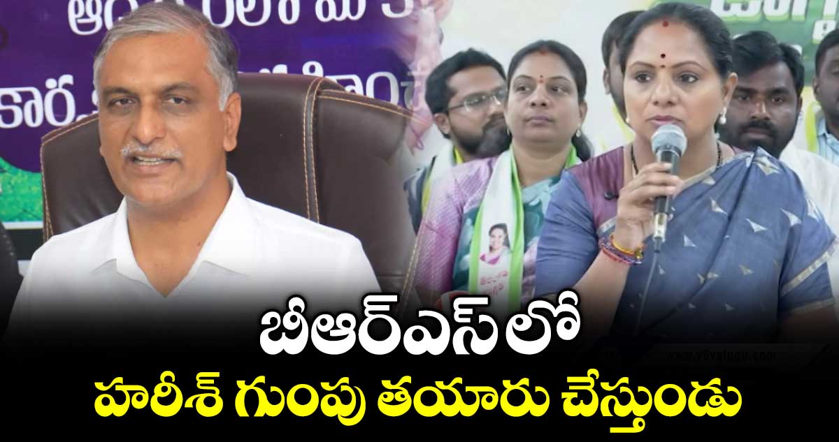 బీఆర్ఎస్ లో హరీశ్ గుంపు తయారు చేస్తుండు: కవిత