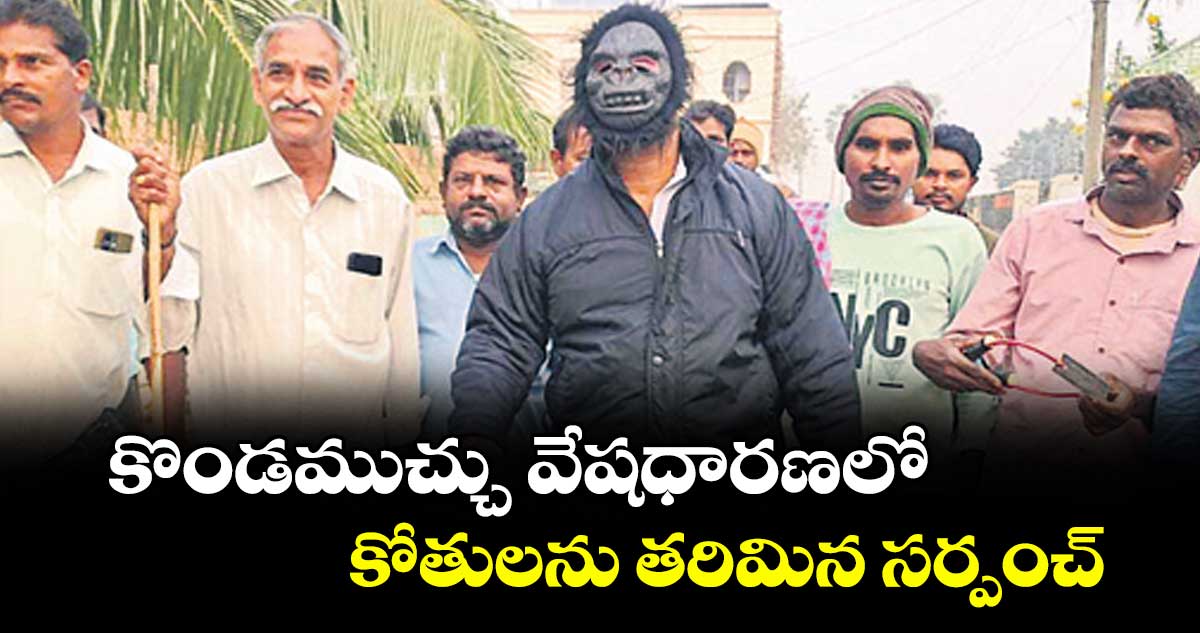 కొండముచ్చు వేషధారణలో కోతులను తరిమిన సర్పంచ్