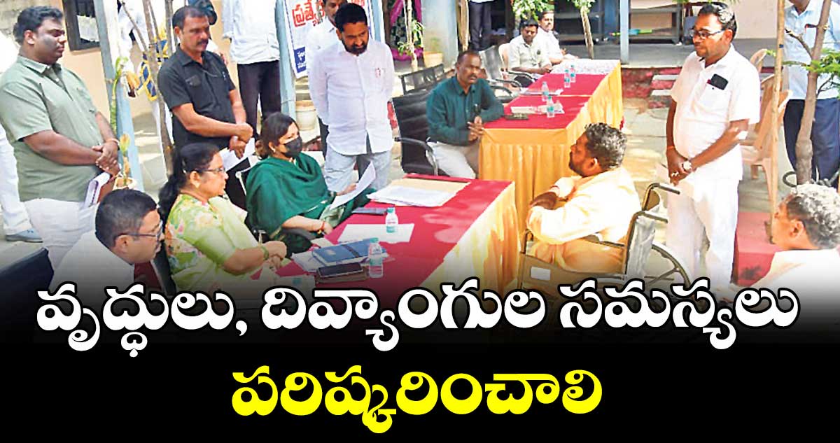 వృద్ధులు, దివ్యాంగుల సమస్యలు పరిష్కరించాలి : కలెక్టర్ విజయేందిర బోయి