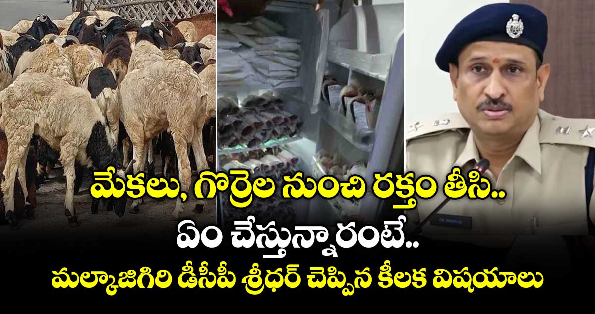 మేకలు, గొర్రెల నుంచి రక్తం తీసి ఏం చేస్తున్నారంటే.. మల్కాజిగిరి డీసీపీ శ్రీధర్ చెప్పిన కీలక విషయాలు