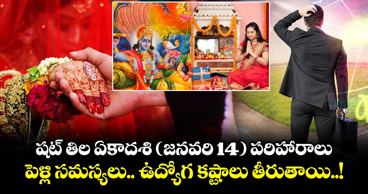 షట్ తిల ఏకాదశి (జనవరి 14) పరిహారాలు.. పెళ్లి సమస్యలు.. ఉద్యోగ కష్టాలు తీరుతాయి..!