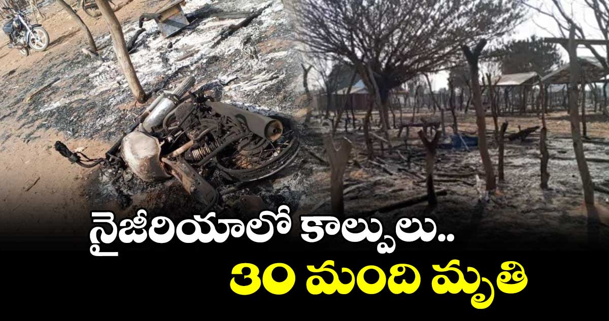 నైజీరియాలో కాల్పులు..30 మంది మృతి