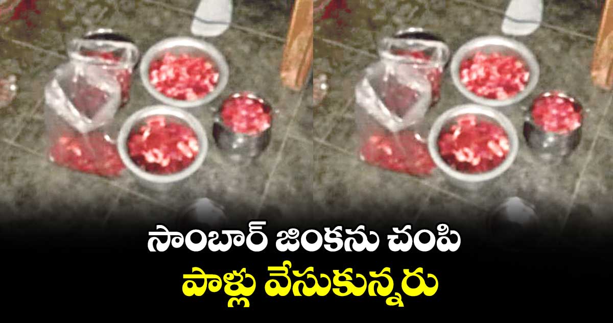 సాంబార్ జింకను చంపి పాళ్లు వేసుకున్నరు