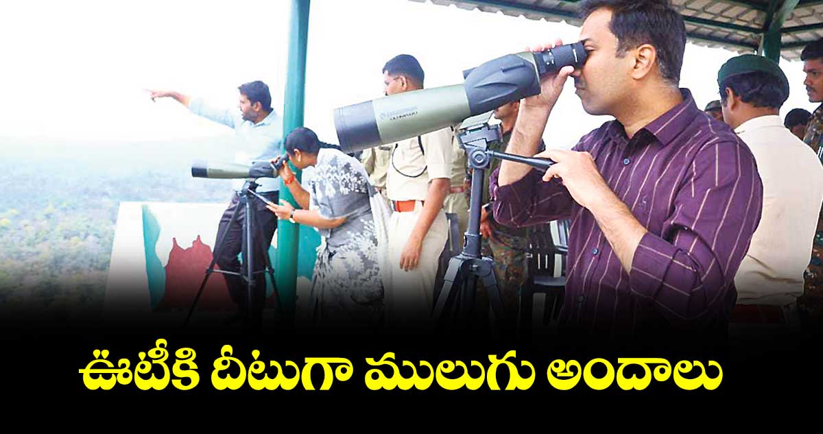 ఊటీకి దీటుగా ములుగు అందాలు : మంత్రి సీతక్క