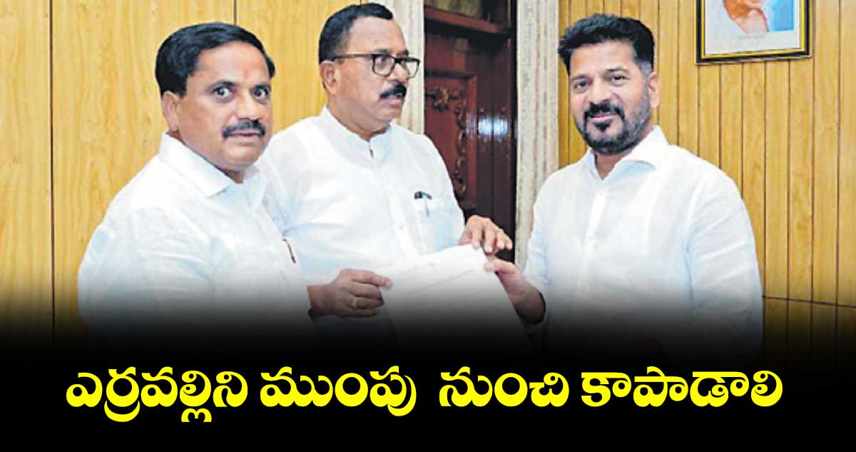 ఎర్రవల్లిని ముంపు  నుంచి కాపాడాలి : ఎమ్మెల్యే కసిరెడ్డి నారాయణరెడ్డి