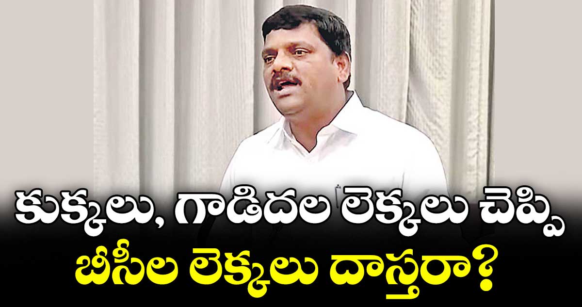 కుక్కలు, గాడిదల లెక్కలు చెప్పి.. బీసీల లెక్కలు దాస్తరా? : ఎమ్మెల్సీ తీన్మార్ మల్లన్న