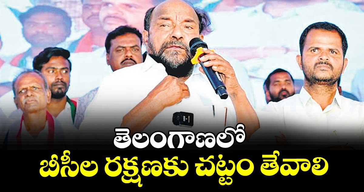 తెలంగాణలో బీసీల రక్షణకు చట్టం తేవాలి : ఎంపీ ఆర్. కృష్ణయ్య