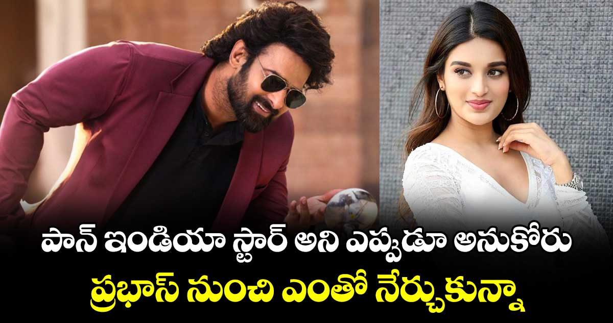 పాన్ ఇండియా స్టార్ అని ఎప్పుడూ అనుకోరు.. ప్రభాస్‌‌ నుంచి ఎంతో నేర్చుకున్నా: నిధి అగర్వాల్