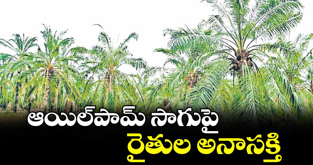 ఆయిల్‌‌‌‌‌‌‌‌పామ్‌‌‌‌‌‌‌‌ సాగుపై రైతుల అనాసక్తి