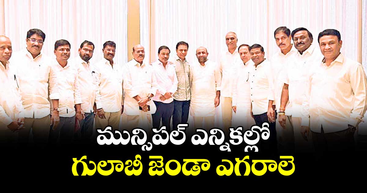 మున్సిపల్ ఎన్నికల్లో గులాబీ జెండా ఎగరాలె : కేటీఆర్