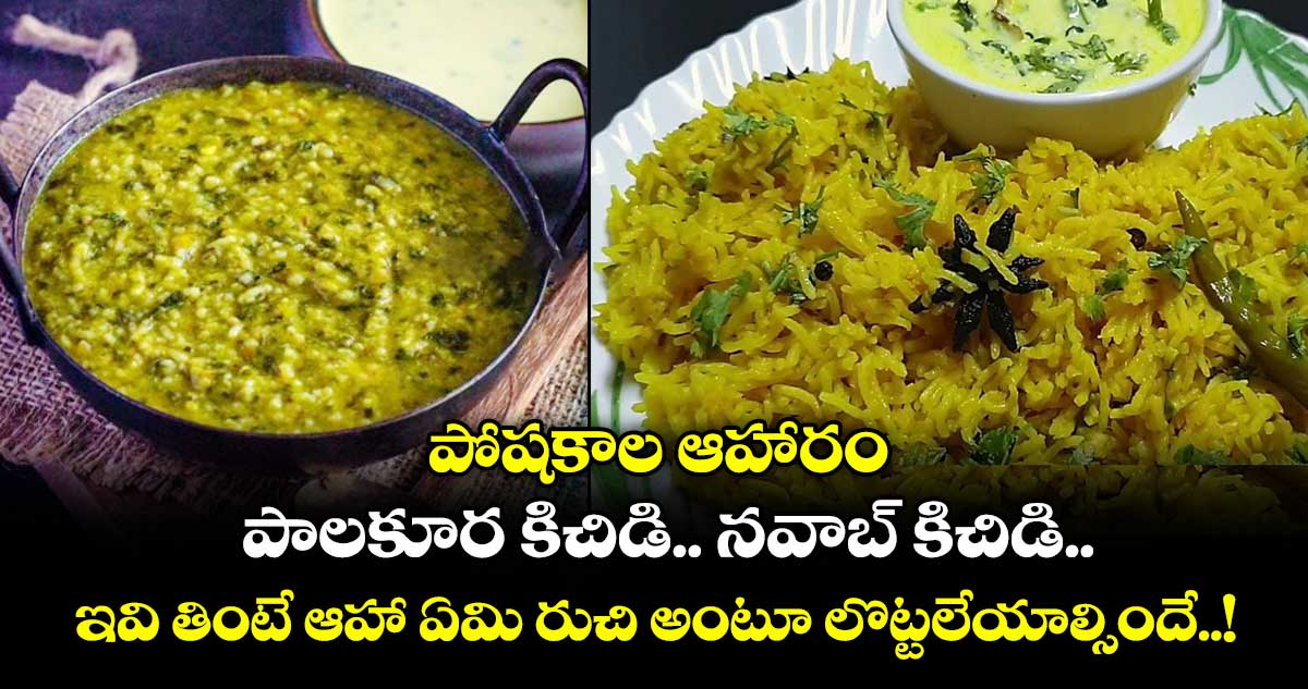 పోషకాల ఆహారం  : పాలకూర కిచిడి.. నవాబ్ కిచిడి.. .. ఇవి తింటే ఆహా ఏమి రుచి అంటూ లొట్టలేయాల్సిందే..!