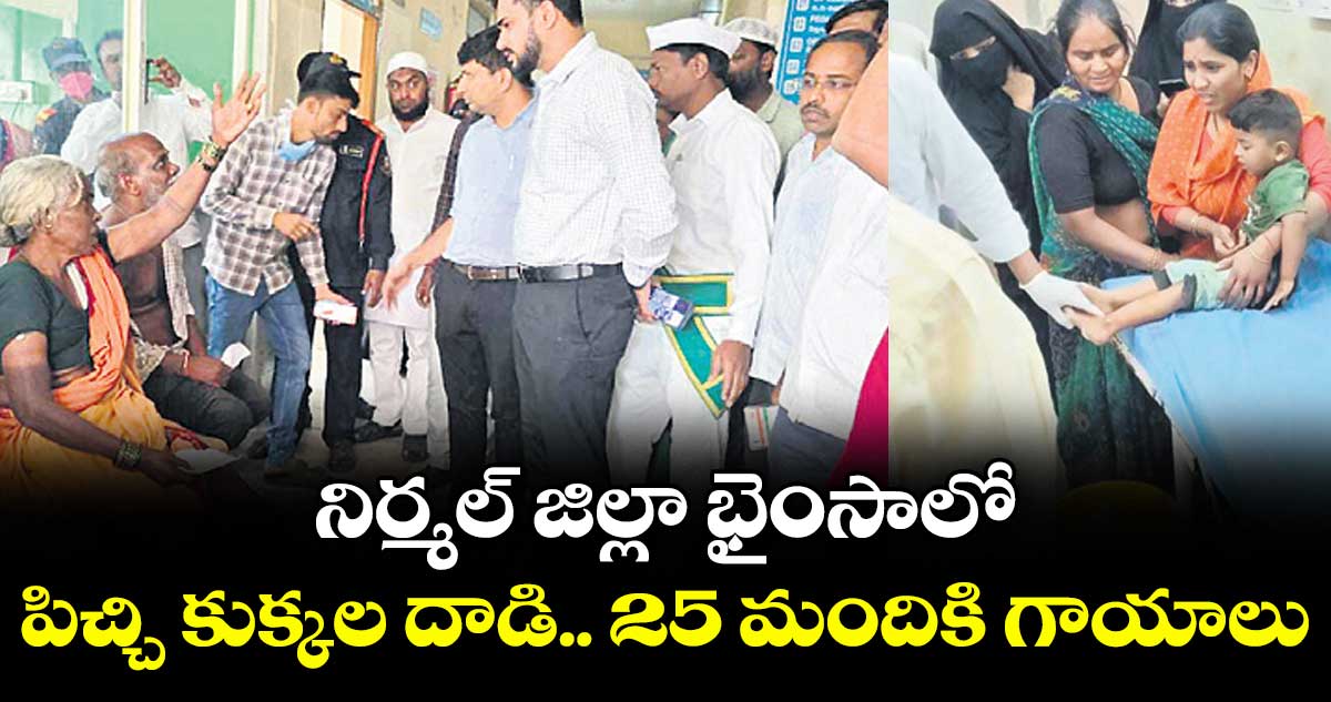 నిర్మల్ జిల్లా భైంసాలో  ..పిచ్చి కుక్కల దాడి.. 25 మందికి గాయాలు