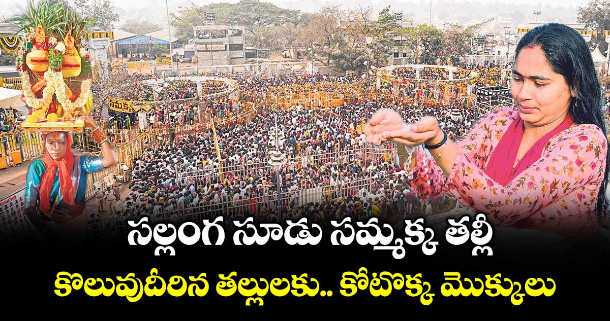 సల్లంగ సూడు  సమ్మక్క తల్లీ.. కొలువుదీరిన తల్లులకు.. కోటొక్క మొక్కులు