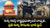 కుక్క కరిస్తే రాష్ట్రప్రభుత్వాలదే బాధ్యత..ప్రతీ కుక్క కాటుకు భారీ ఫైన్:సుప్రీంకోర్టు