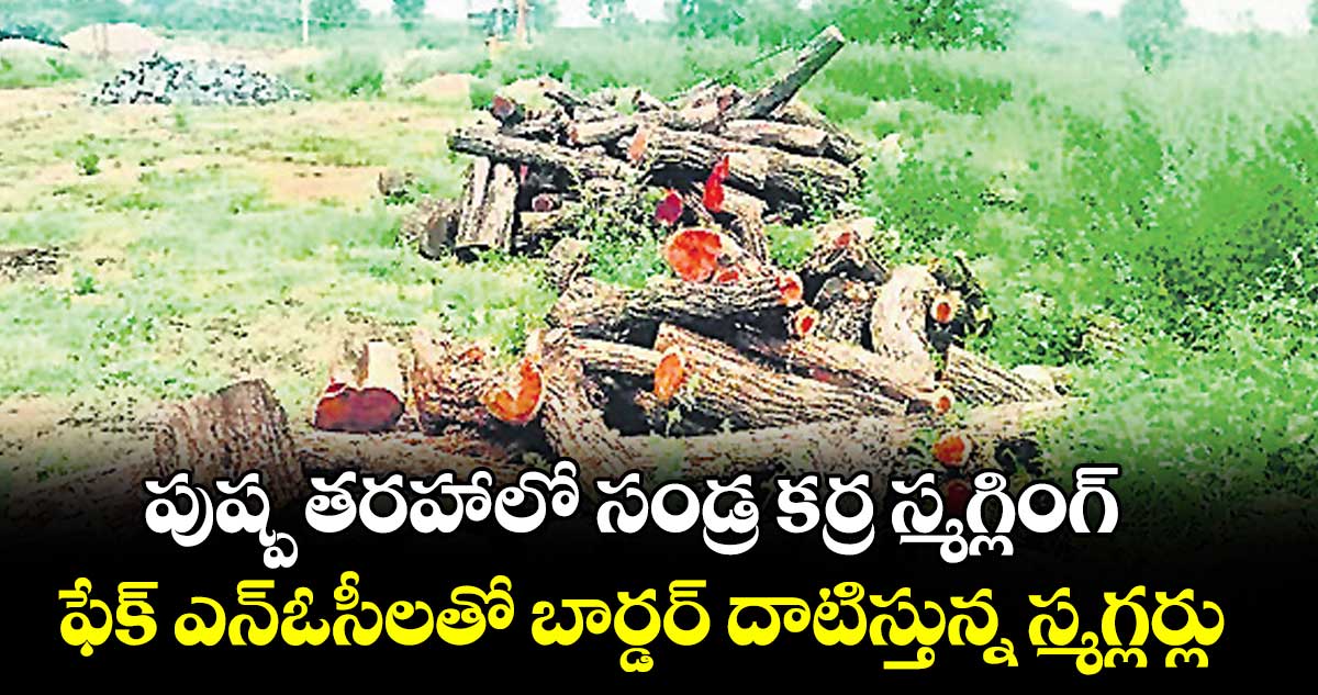 పుష్ప తరహాలో సండ్ర కర్ర స్మగ్లింగ్.. ఫేక్ ఎన్‌‌ఓసీలతో బార్డర్ దాటిస్తున్న స్మగ్లర్లు