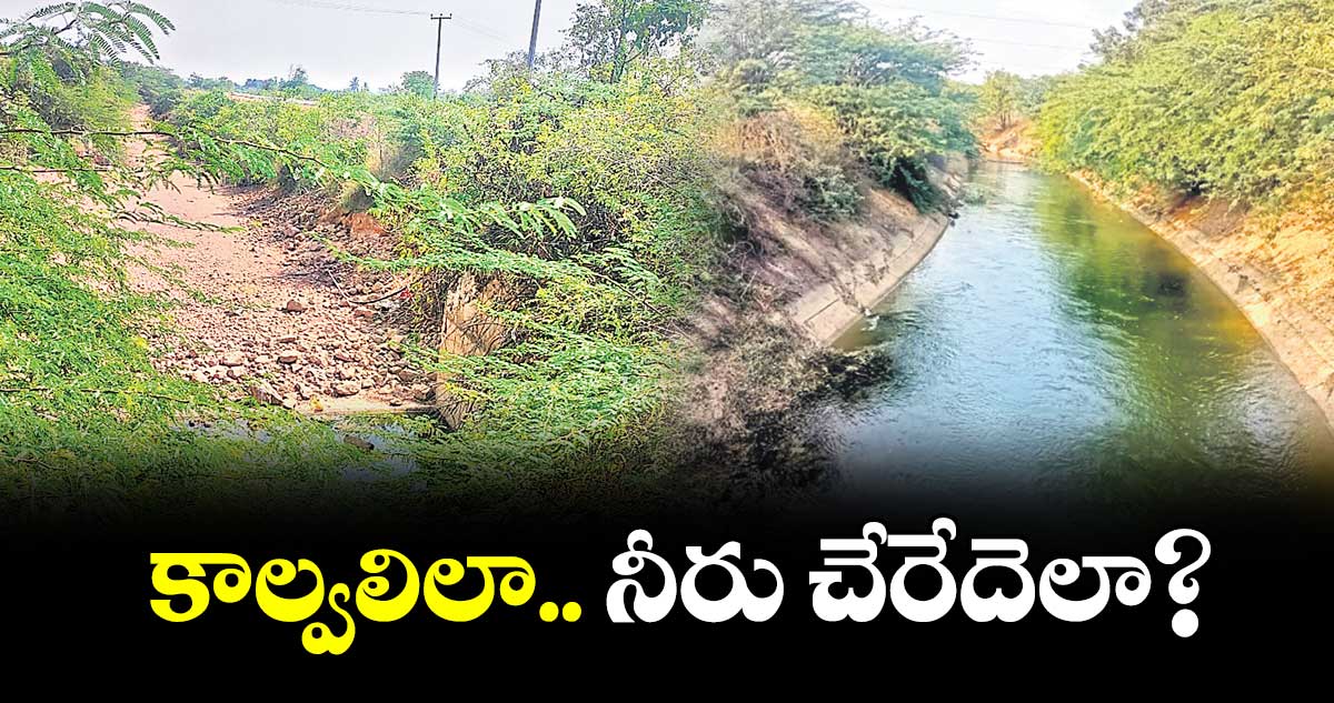 కాల్వలిలా.. నీరు చేరేదెలా?