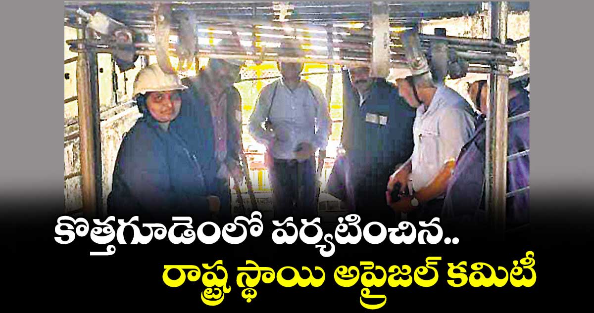 కొత్తగూడెంలో పర్యటించిన.. రాష్ట్ర స్థాయి అప్రైజల్ కమిటీ