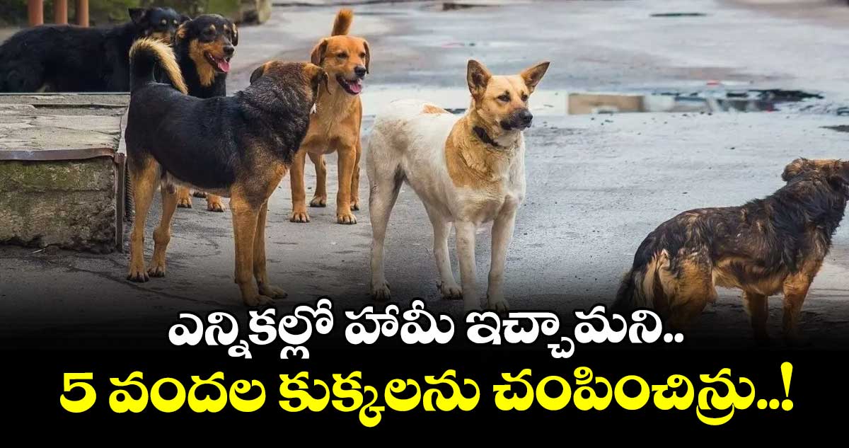 ఎన్నికల్లో హామీ ఇచ్చామని.. 5 వందల కుక్కలను చంపించిన్రు..!  పాల్వంచ మండలంలో ఐదుగురు సర్పంచ్‎ల నిర్వాకం