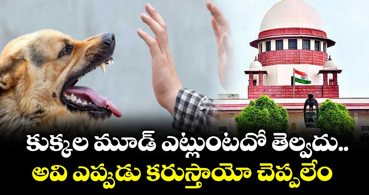 కుక్కల మూడ్ ఎట్లుంటదో తెల్వదు..అవి ఎప్పుడు కరుస్తాయో చెప్పలేం: సుప్రీంకోర్టు