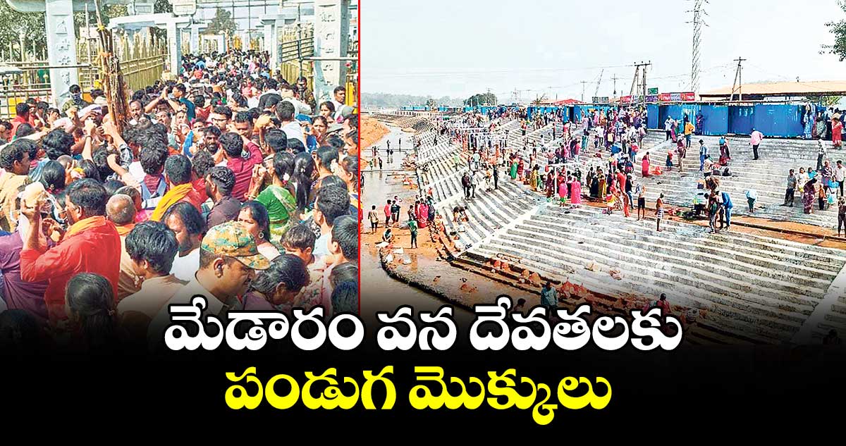 మేడారం వన దేవతలకు పండుగ మొక్కులు