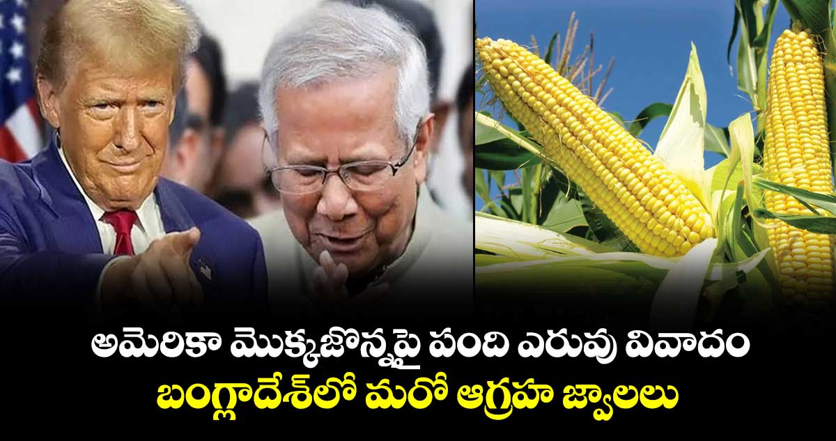 అమెరికా మొక్కజొన్నపై పంది ఎరువు వివాదం.. బంగ్లాదేశ్‌లో మరో ఆగ్రహ జ్వాలలు..