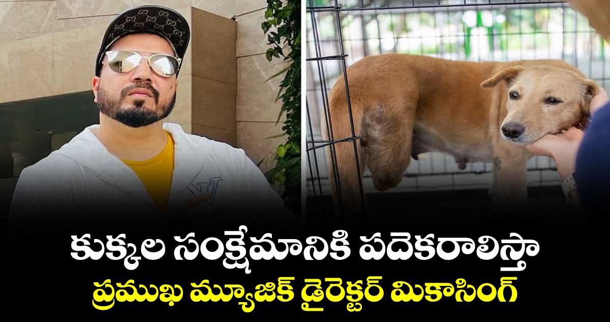 కుక్కల సంక్షేమానికి పదెకరాలిస్తా: ప్రముఖ మ్యూజిక్ డైరెక్టర్ మికాసింగ్