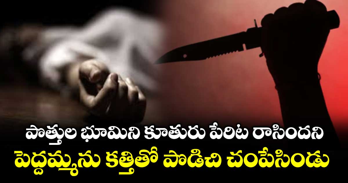 పొత్తుల భూమిని కూతురు పేరిట రాసిందని.. పెద్దమ్మను కత్తితో పొడిచి చంపేసిండు