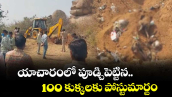 యాచారంలో పూడ్చిపెట్టిన.. 100 కుక్కలకు పోస్టుమార్టం 