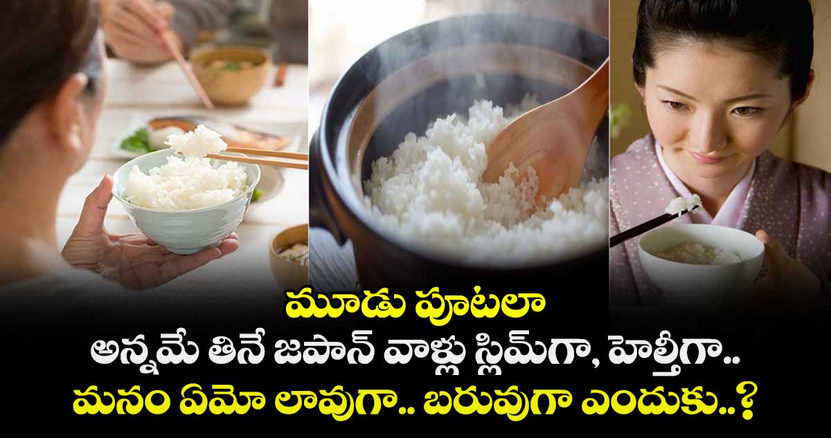 మూడు పూటలా అన్నమే తినే జపాన్ వాళ్లు స్లిమ్⁭గా, హెల్తీగా.. మనం ఏమో లావుగా.. బరువుగా ఎందుకు..?