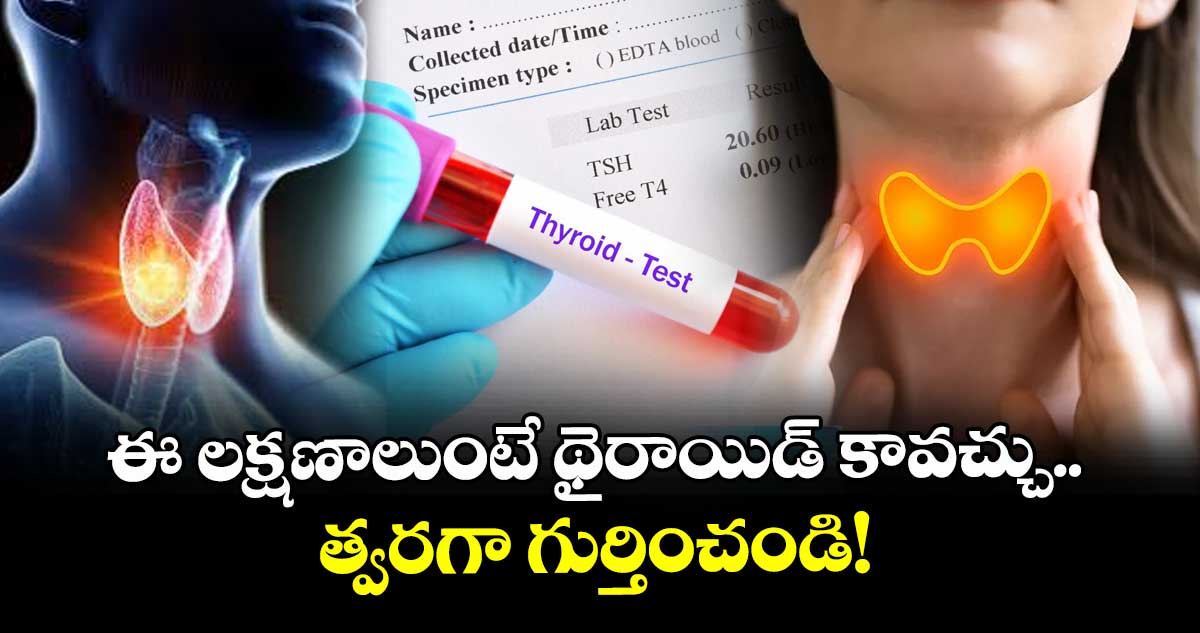 ఈ లక్షణాలుంటే థైరాయిడ్ కావచ్చు..  త్వరగా గుర్తించండి!