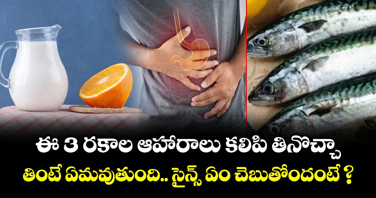  ఈ 3 రకాల ఆహారాలు కలిపి తినొచ్చా.. తింటే ఏమవుతుంది.. సైన్స్ ఏం చెబుతోందంటే ?
