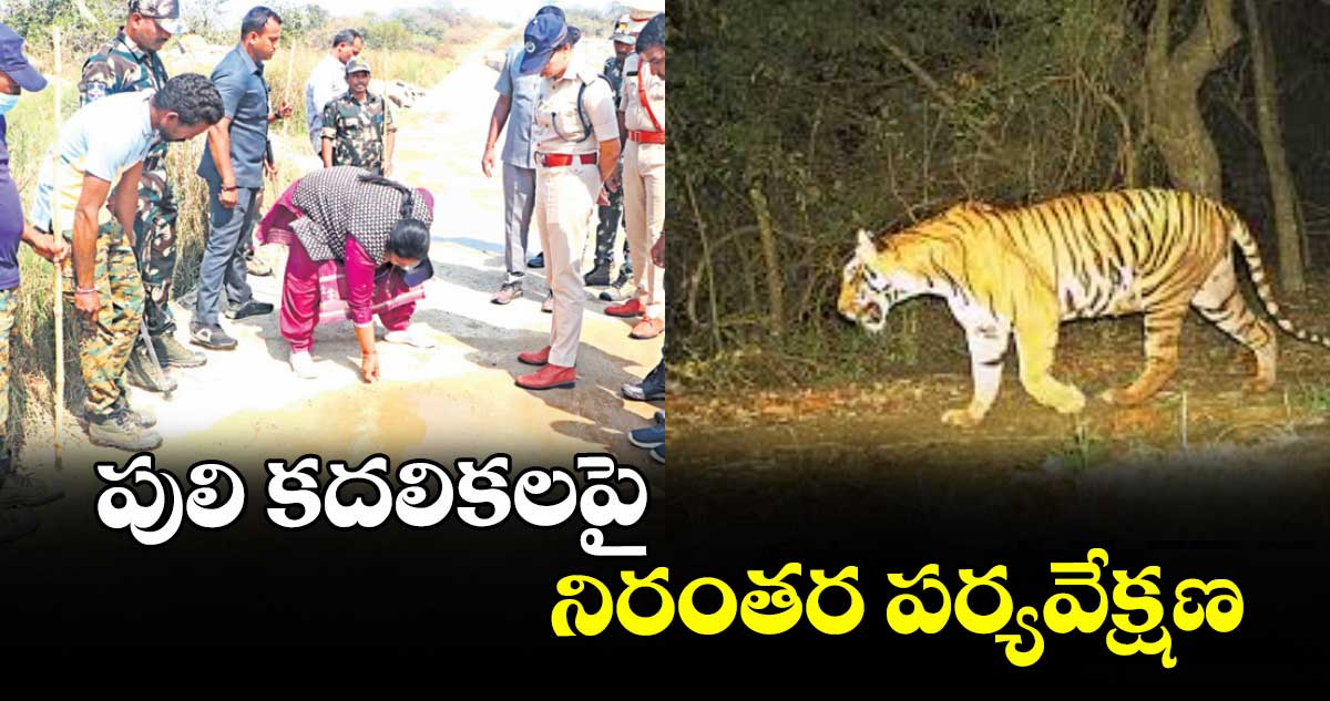 పులి కదలికలపై నిరంతర పర్యవేక్షణ : డీఎఫ్వో పద్మజారాణి