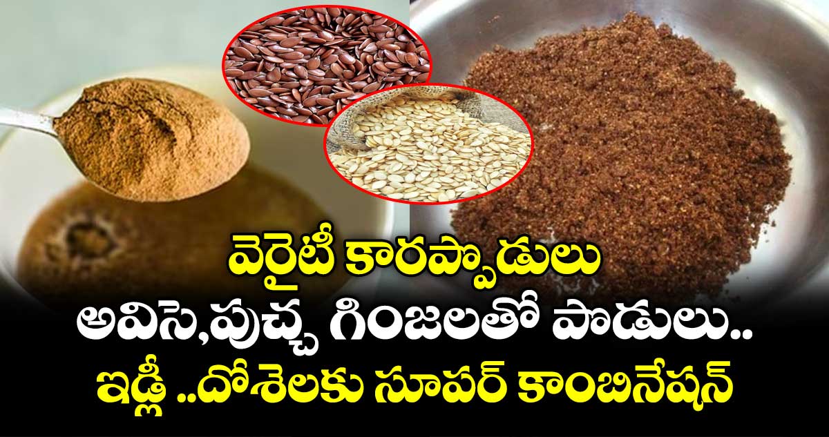 వెరైటీ కారప్పొడులు.. అవిసె,పుచ్చ గింజలతో  పొడులు.. ఇడ్లీ ..దోశెలకు సూపర్ కాంబినేషన్..