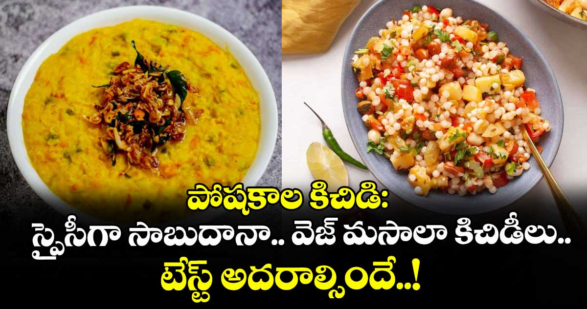 పోషకాల కిచిడి:  స్పైసీగా సాబుదానా.. వెజ్ మసాలా కిచిడీలు.. టేస్ట్ అదరాల్సిందే..!