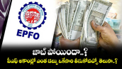 PF News: జాబ్ పోయిందా..? పీఎఫ్ అకౌంట్లో ఎంత డబ్బు ఒకేసారి తీసుకోవచ్చో తెలుసా..?