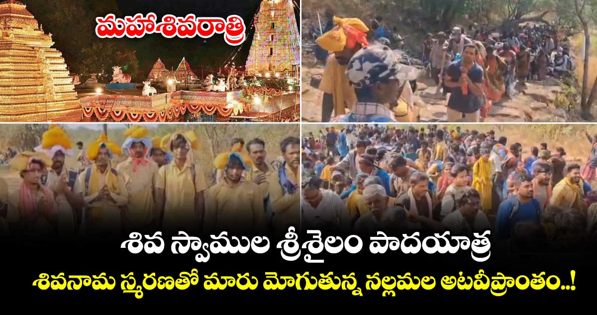 మహాశివరాత్రి:  శివ స్వాముల శ్రీశైలం పాదయాత్ర.. శివనామ స్మరణతో మారు మోగుతున్న నల్లమల  అటవీప్రాంతం..!
