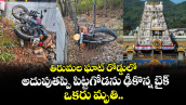 తిరుమల ఘాట్ రోడ్డులో అదుపుతప్పి పిట్టగోడను ఢీకొన్న బైక్.. ఒకరు మృతి..
