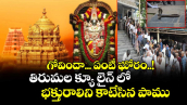 గోవిందా... ఏంటీ ఘోరం..! : తిరుమల క్యూ లైన్ లో భక్తురాలిని కాటేసిన పాము..