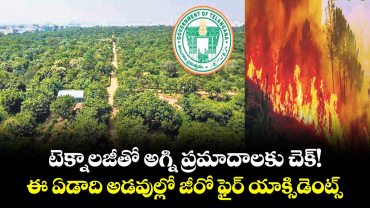 టెక్నాలజీతో అగ్ని ప్రమాదాలకు చెక్!..ఈ ఏడాది అడవుల్లో జీరో ఫైర్ యాక్సిడెంట్స్ : రాష్ట్ర అటవీ శాఖ