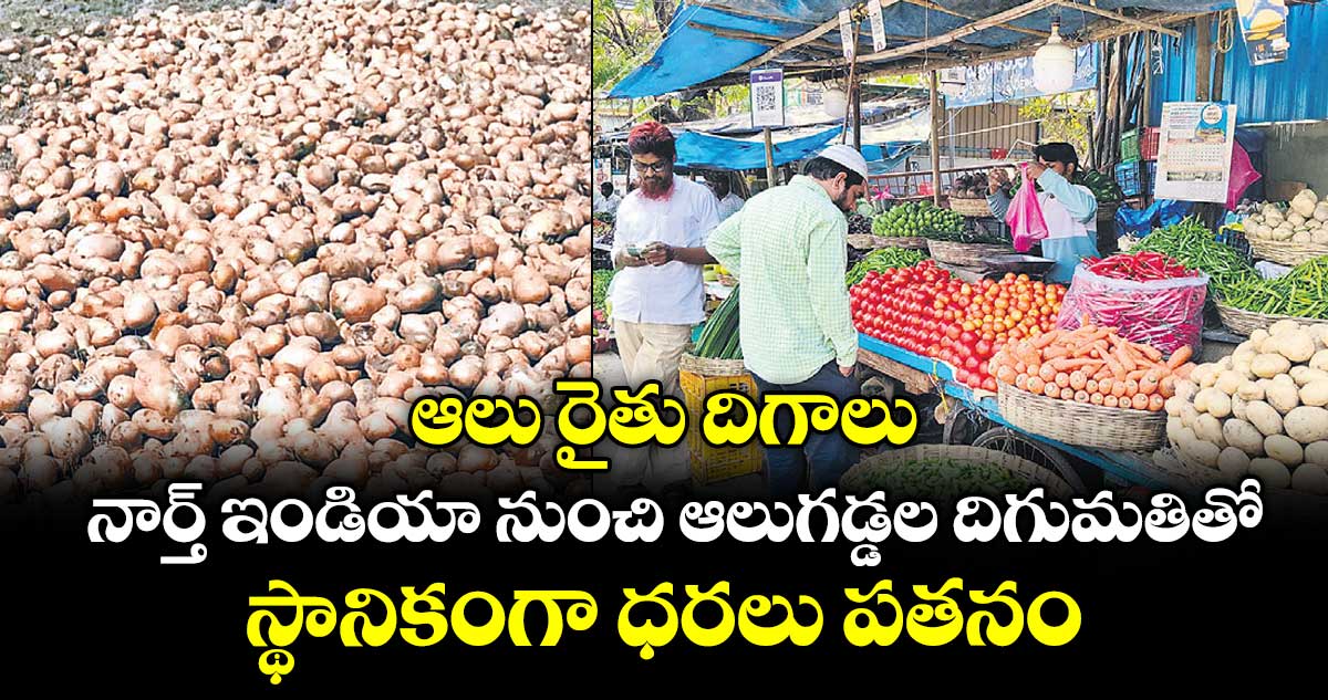 ఆలు రైతు దిగాలు.. నార్త్ ఇండియా నుంచి ఆలుగడ్డల దిగుమతితో.. స్థానికంగా ధరలు పతనం