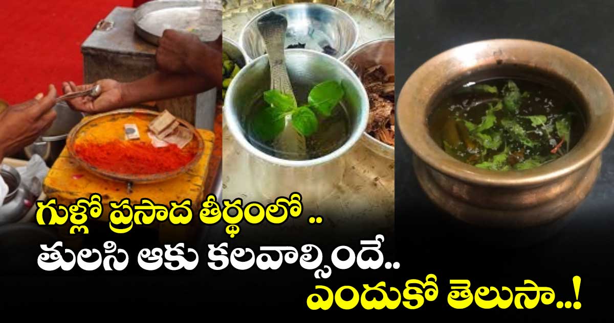 ఆధ్యాత్మికం :  గుళ్లో ప్రసాద తీర్థంలో .. తులసి ఆకు కలవాల్సిందే..  ఎందుకో తెలుసా..!