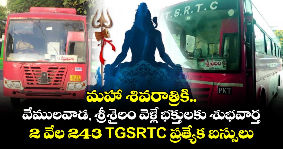 మహా శివరాత్రికి వేములవాడ, శ్రీశైలం వెళ్లే భక్తులకు శుభవార్త.. 2 వేల 243 TGSRTC ప్రత్యేక బస్సులు