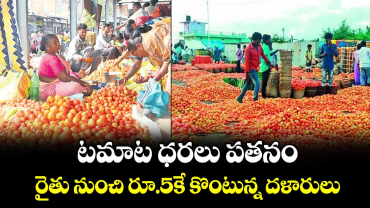 టమాట ధరలు పతనం..రైతు నుంచి రూ.5కే కొంటున్న దళారులు