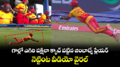 T20 World Cup: గాల్లో ఎగిరి పక్షిలా క్యాచ్ పట్టిన జింబాబ్వే ప్లేయర్.. నెట్టింట వీడియో వైరల్