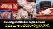 కూకట్⁭పల్లిలో 352 కేజీల కుళ్లిన చికెన్ సీజ్.. ఏ ఏరియాలకు సరఫరా చేస్తున్నారంటే..