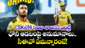 MS Dhoni: CSKలోకి సంజు శాంసన్ ఎంట్రీ.. ధోనీ ఆడటంపై అనుమానాలు.. సీఈవో ఏమ‌న్నారంటే!