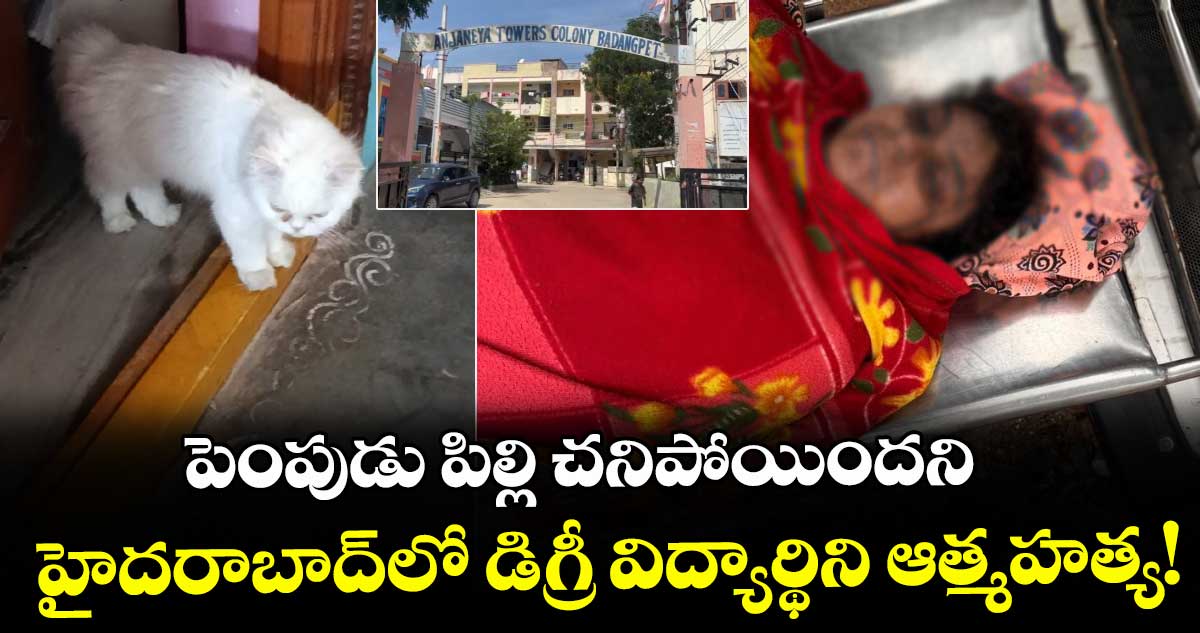 పెంపుడు పిల్లి చనిపోయిందని.. హైదరాబాద్⁭లో డిగ్రీ విద్యార్థిని ఆత్మహత్య!