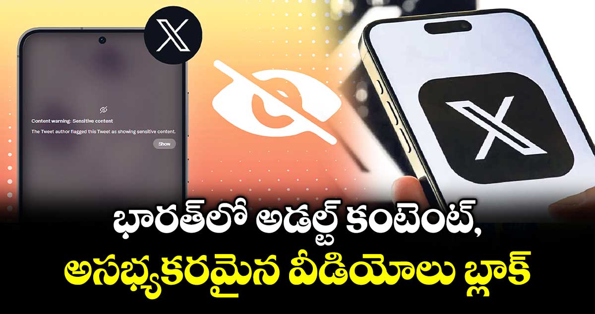 భారత్ లో అడల్ట్ కంటెంట్, అసభ్యకరమైన వీడియోలు బ్లాక్