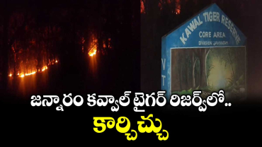 జన్నారం కవ్వాల్ టైగర్ రిజర్వ్‎లో కార్చిచ్చు